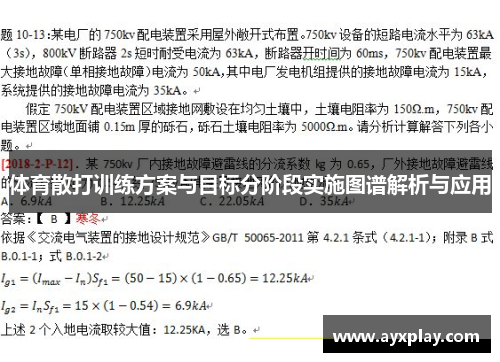 体育散打训练方案与目标分阶段实施图谱解析与应用
